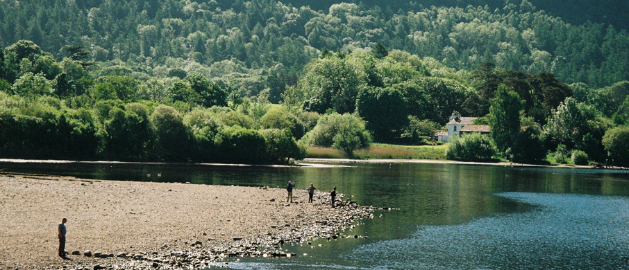 header.png